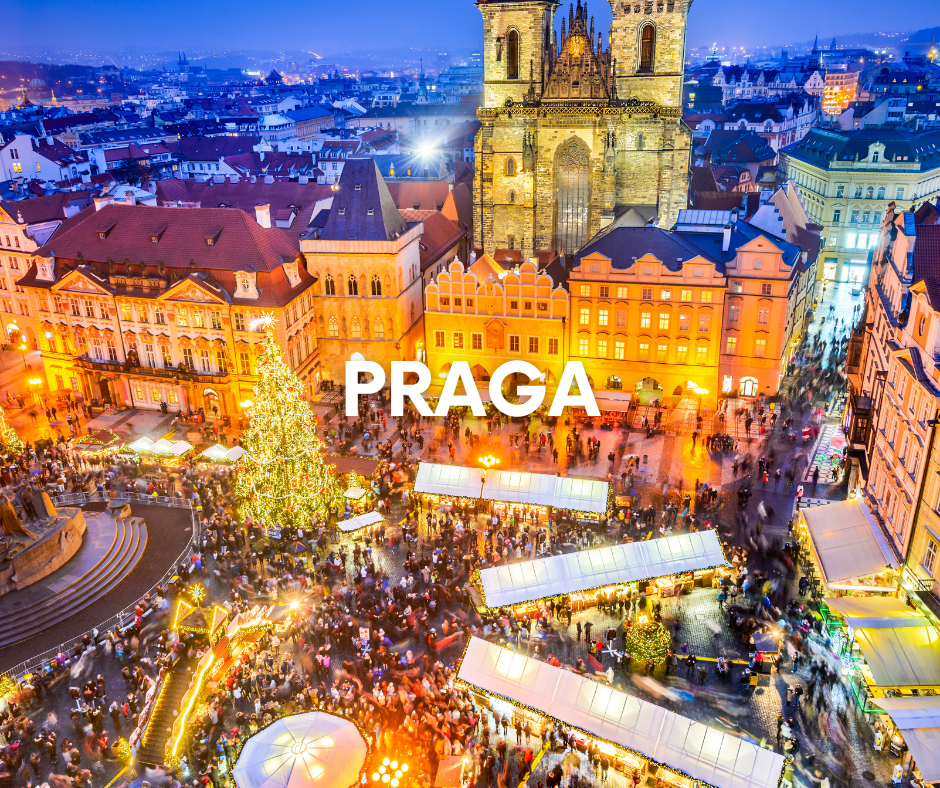 ARTE WEB EUROPA - 2026-02-26T163201.840