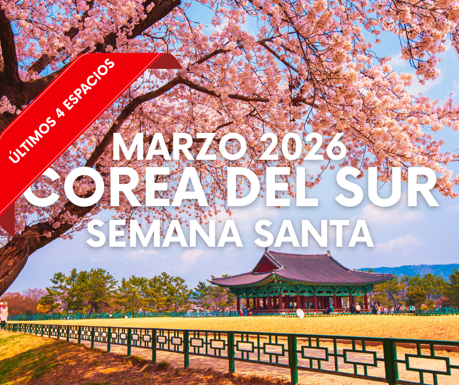 ARTE WEB EUROPA - 2025-12-18T082943.523