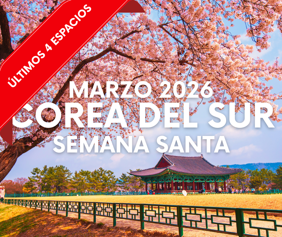 ARTE WEB EUROPA - 2025-12-18T083003.638