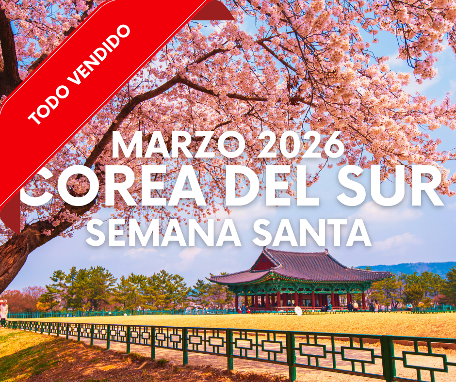 ARTE WEB EUROPA - 2026-03-14T091946.591