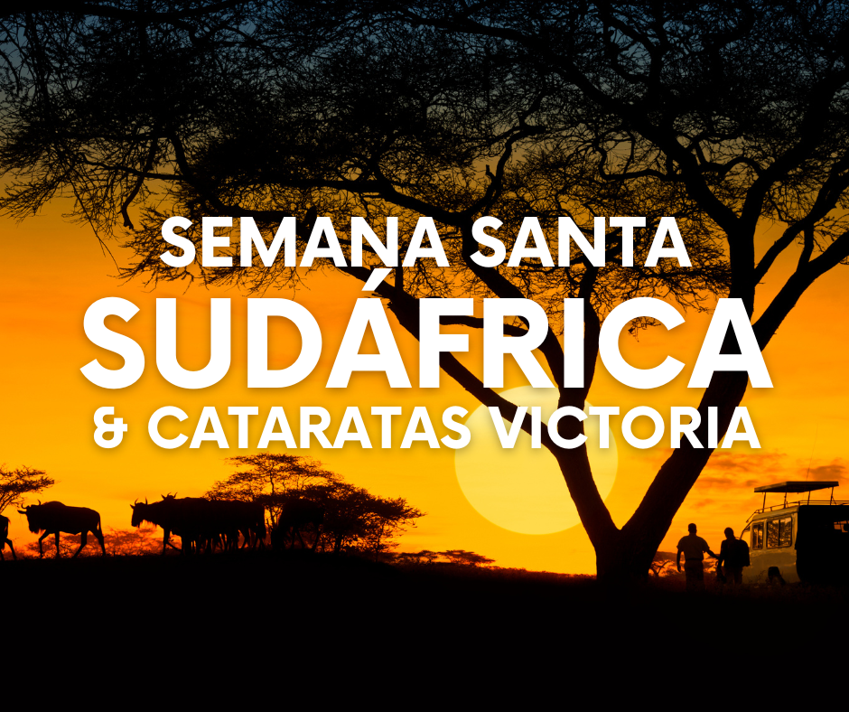 ARTE WEB EUROPA - 2026-04-13T110314.019