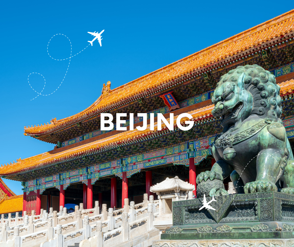 ARTE WEB EUROPA (25)