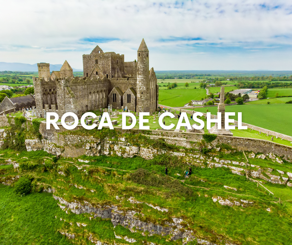 ARTE WEB EUROPA (55)