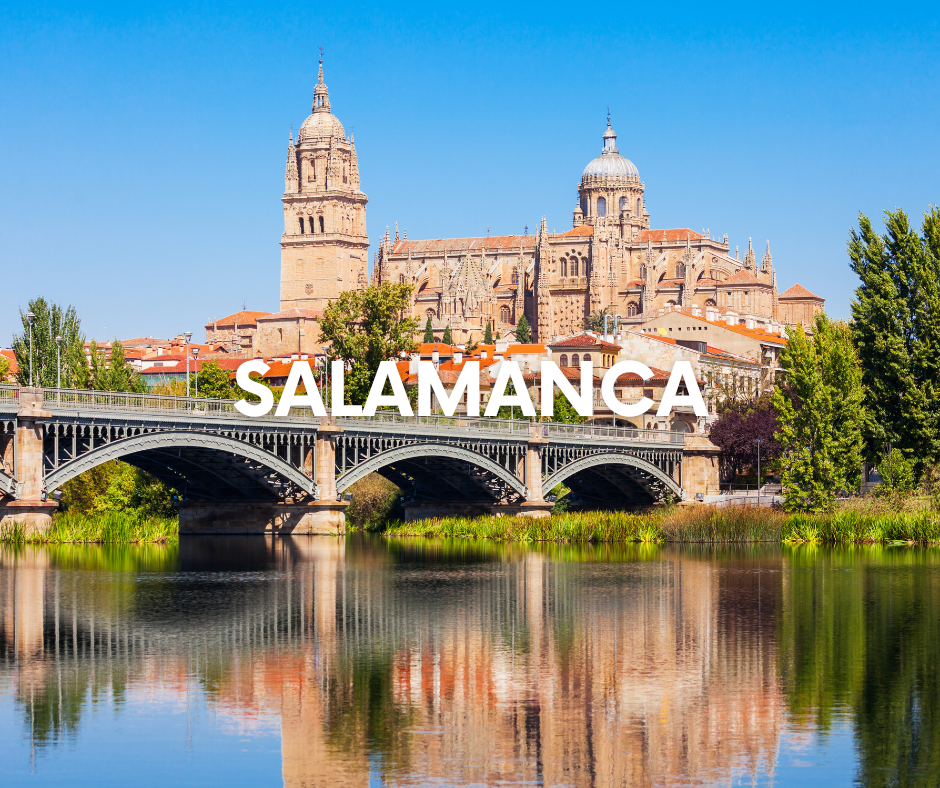 ARTE WEB EUROPA (40)