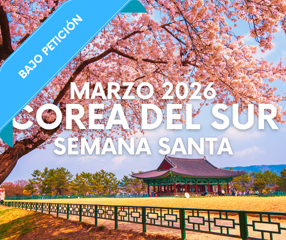 ARTE WEB EUROPA - 2025-12-01T093408.473