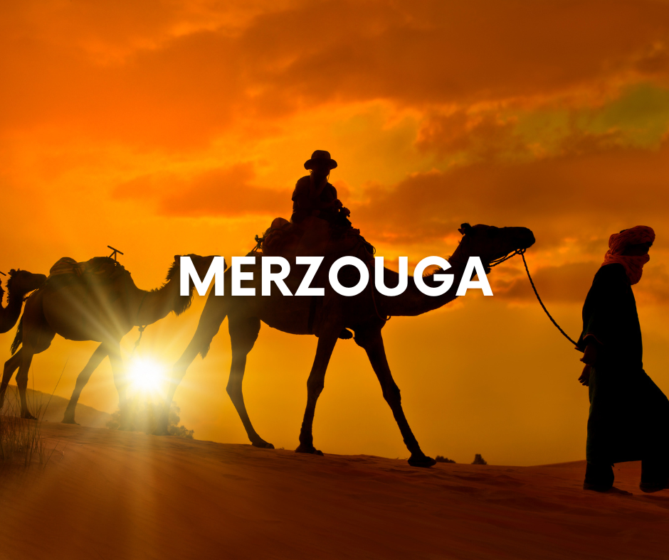 ARTE WEB EUROPA - 2025-12-17T161531.547