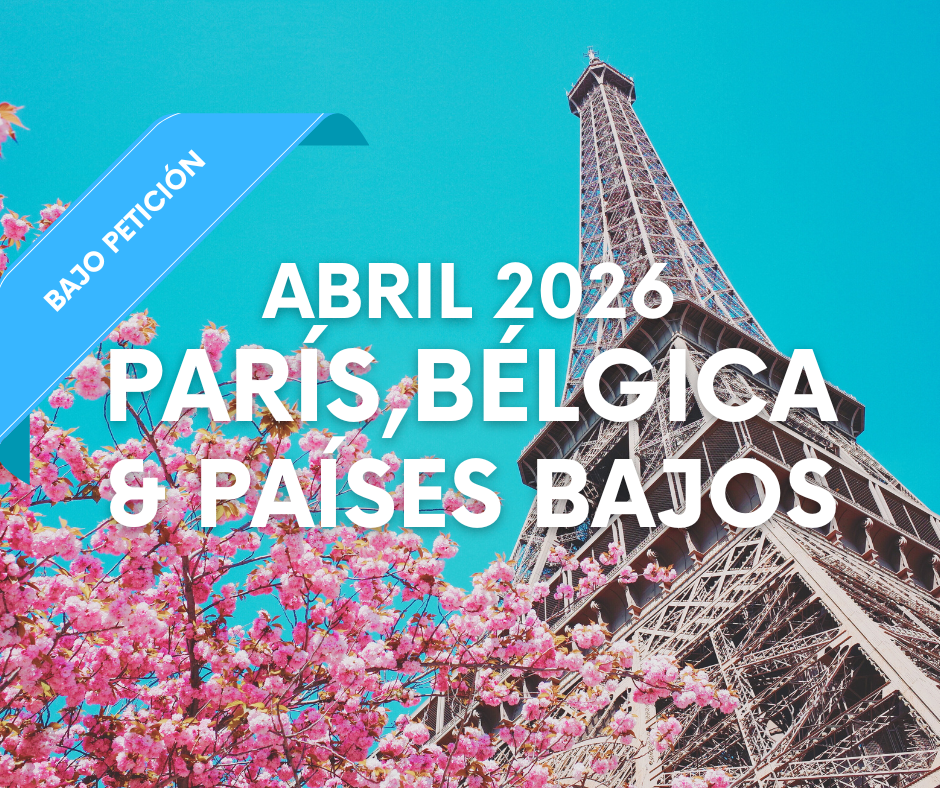 ARTE WEB EUROPA - 2026-01-14T115651.860