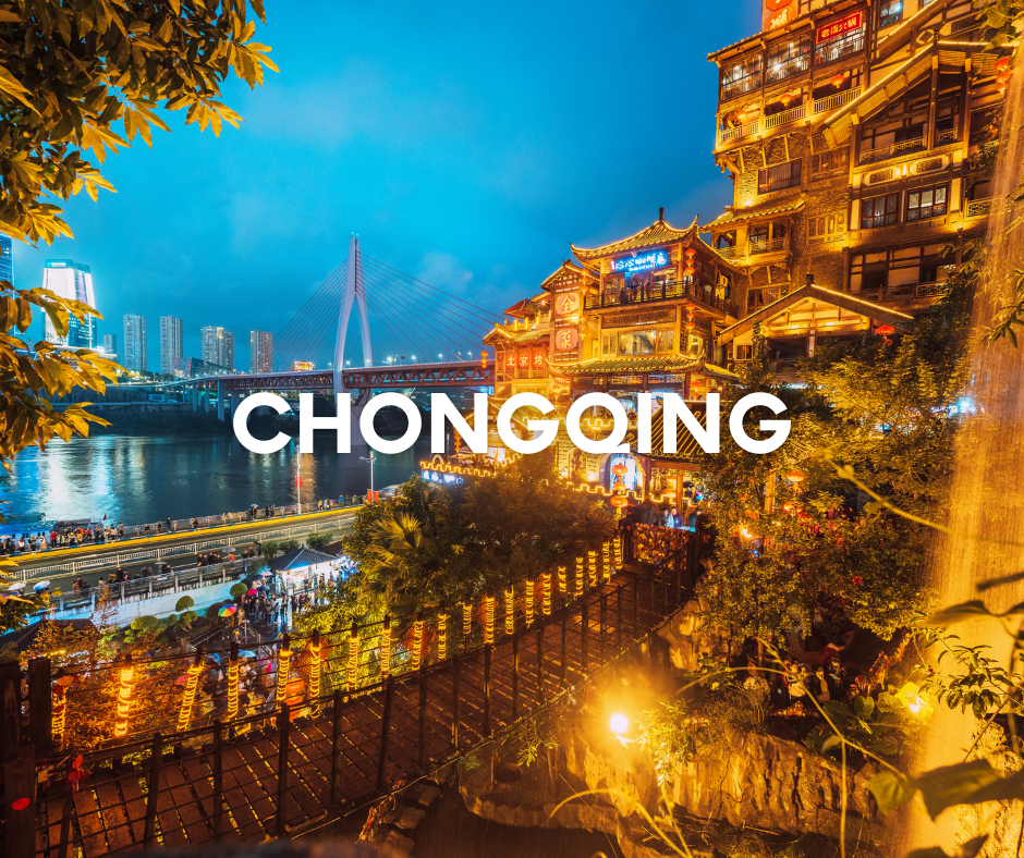 ARTE WEB EUROPA - 2026-02-06T085959.750