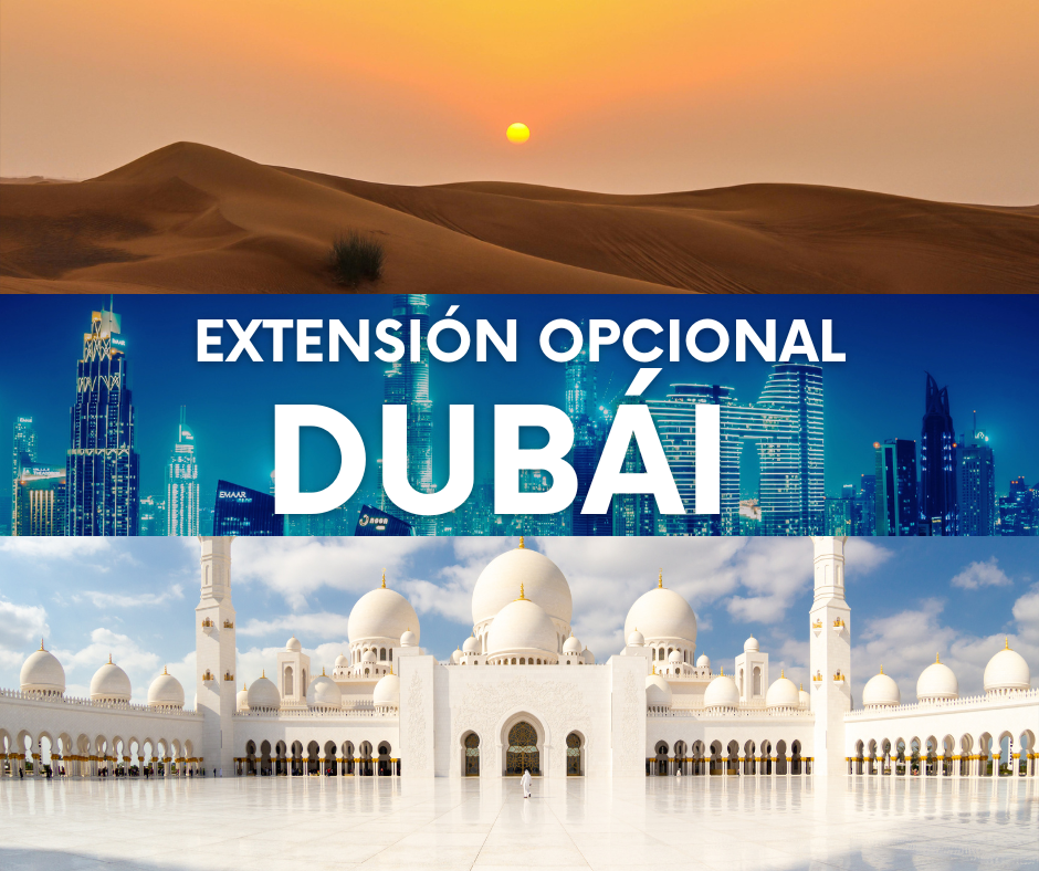 ARTE WEB EUROPA - 2026-02-17T173659.589