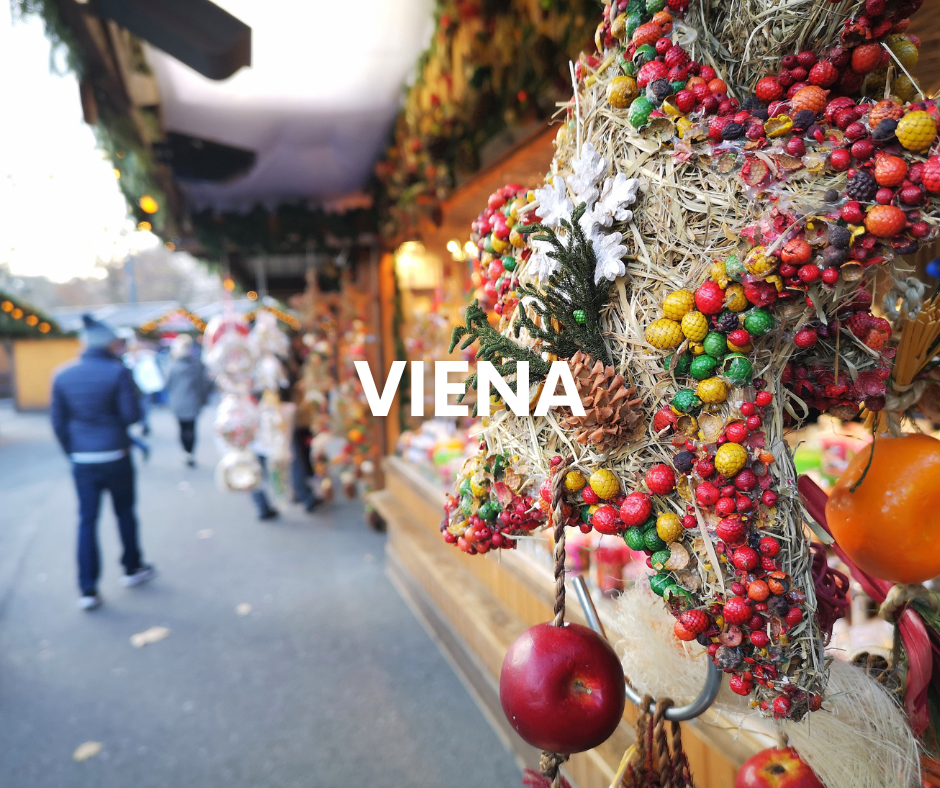 ARTE WEB EUROPA - 2026-02-26T150044.494