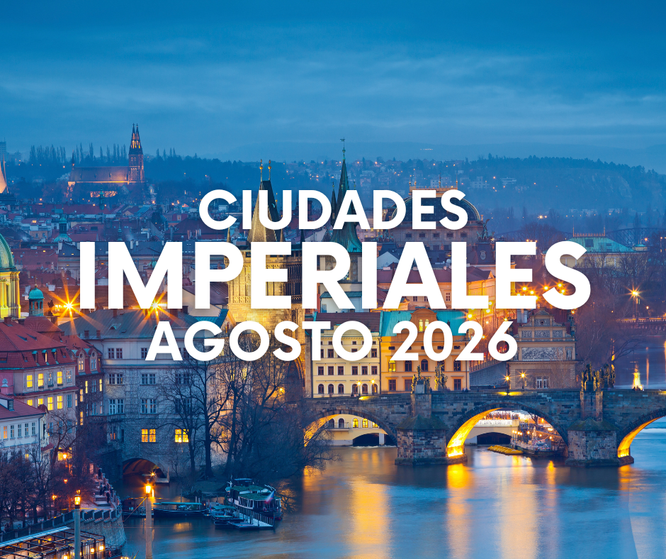 ARTE WEB EUROPA - 2026-02-26T173159.059