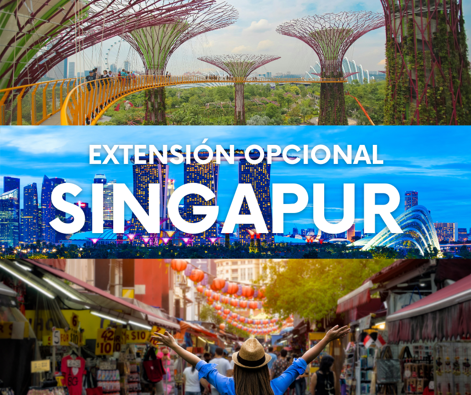 ARTE WEB EUROPA - 2026-04-13T215901.619