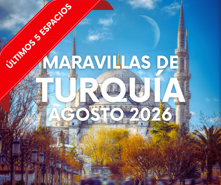 ARTE WEB EUROPA - 2026-05-04T162528.384