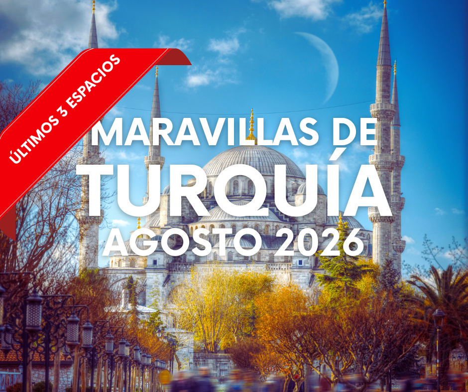 ARTE WEB EUROPA - 2026-05-28T172805.596
